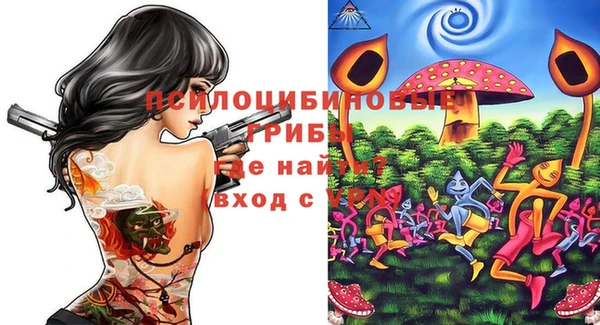 не бодяженный Белокуриха