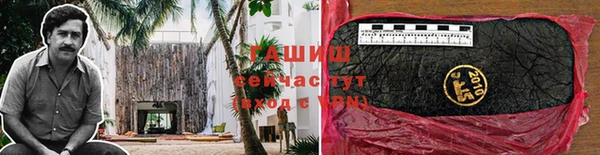 гашик Заводоуковск
