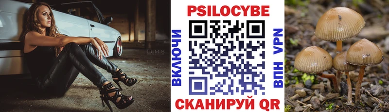 Галлюциногенные грибы прущие грибы hydra как войти Дагестанские Огни сколько стоит