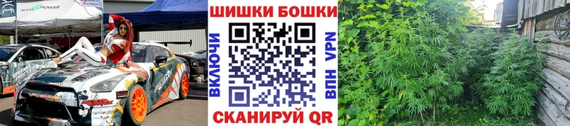 Конопля ГИДРОПОН  Дагестанские Огни 